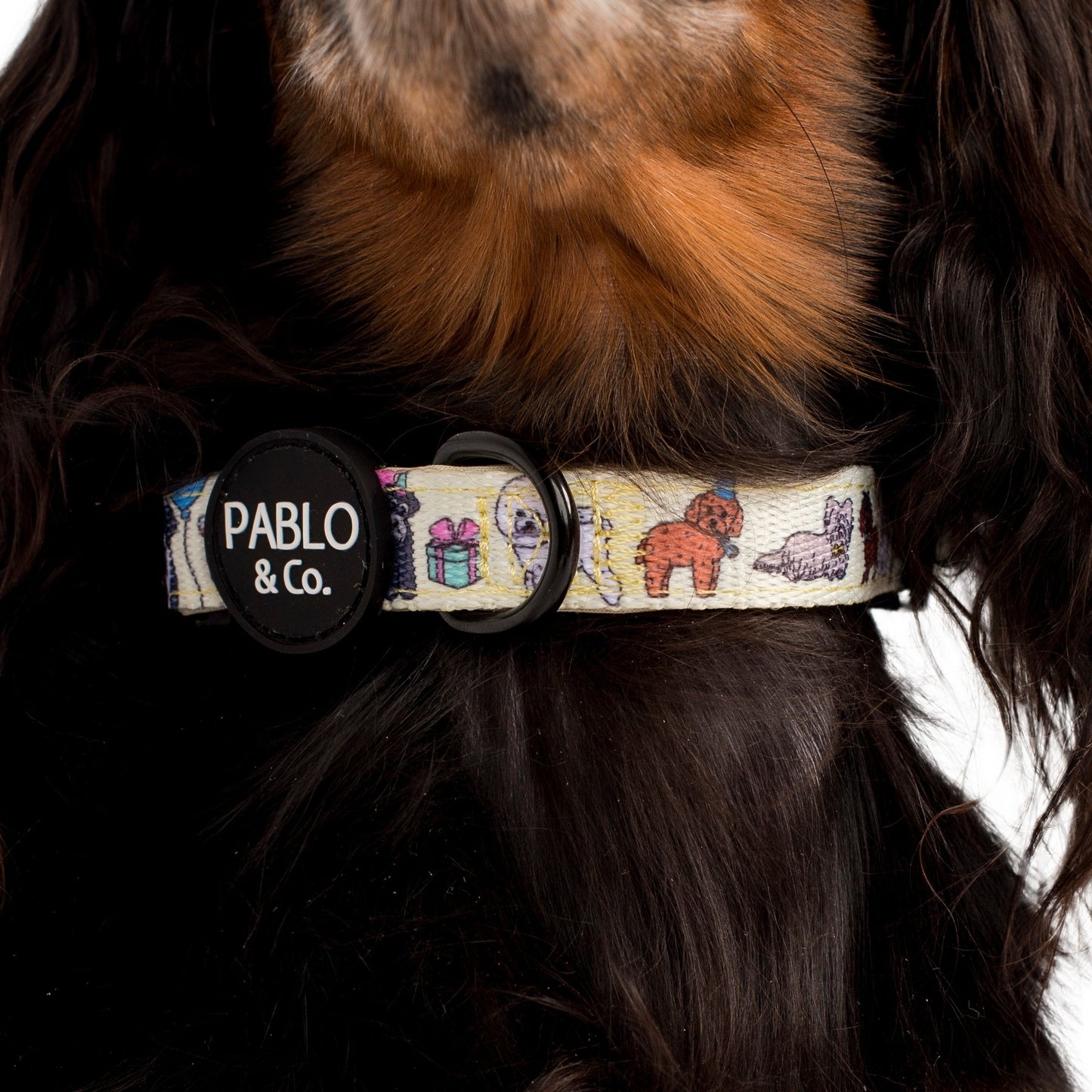 Party Dawgs: Collar