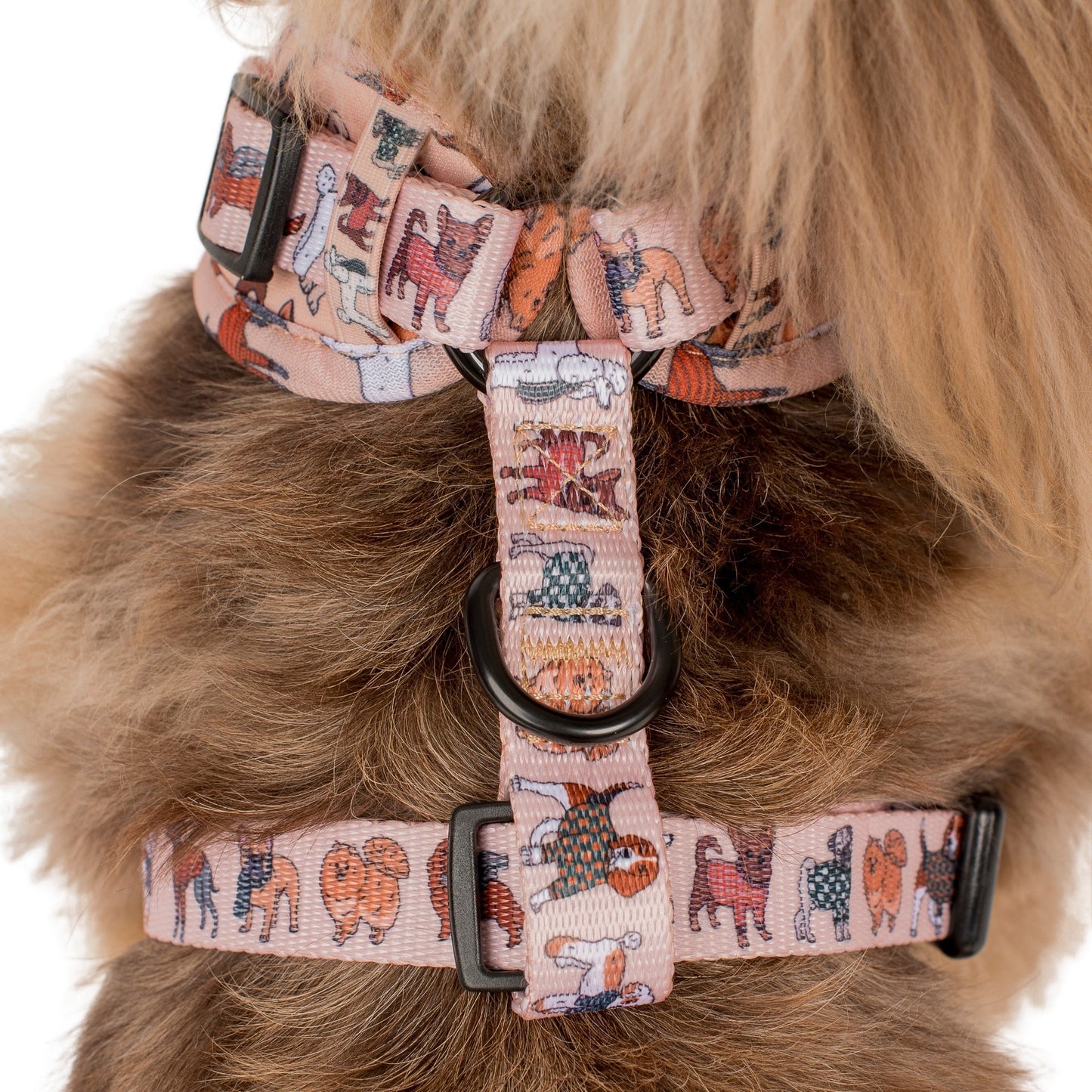 Winter Pooches: Adjustable Harness