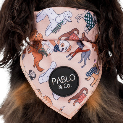 Winter Pooches - Dog Bandana