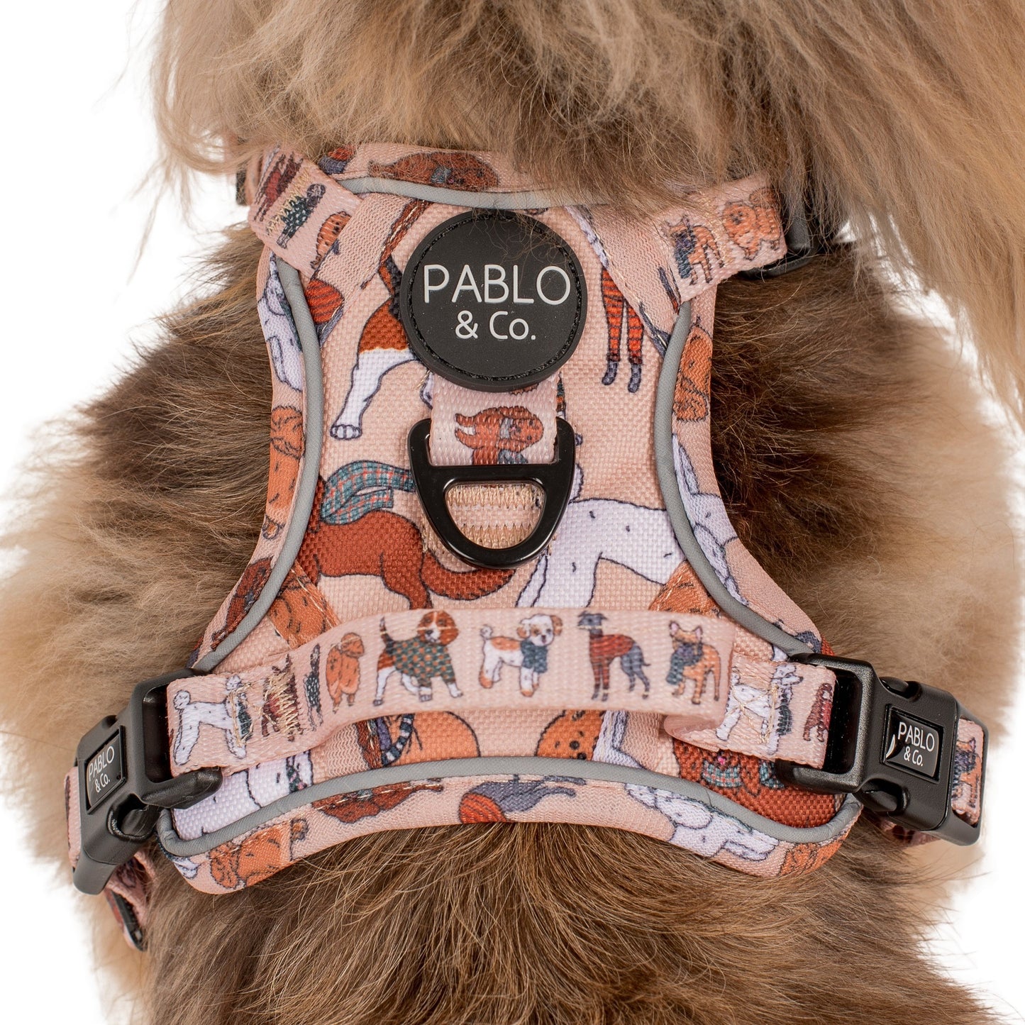 Winter Pooches: No Pull Adventure Harness