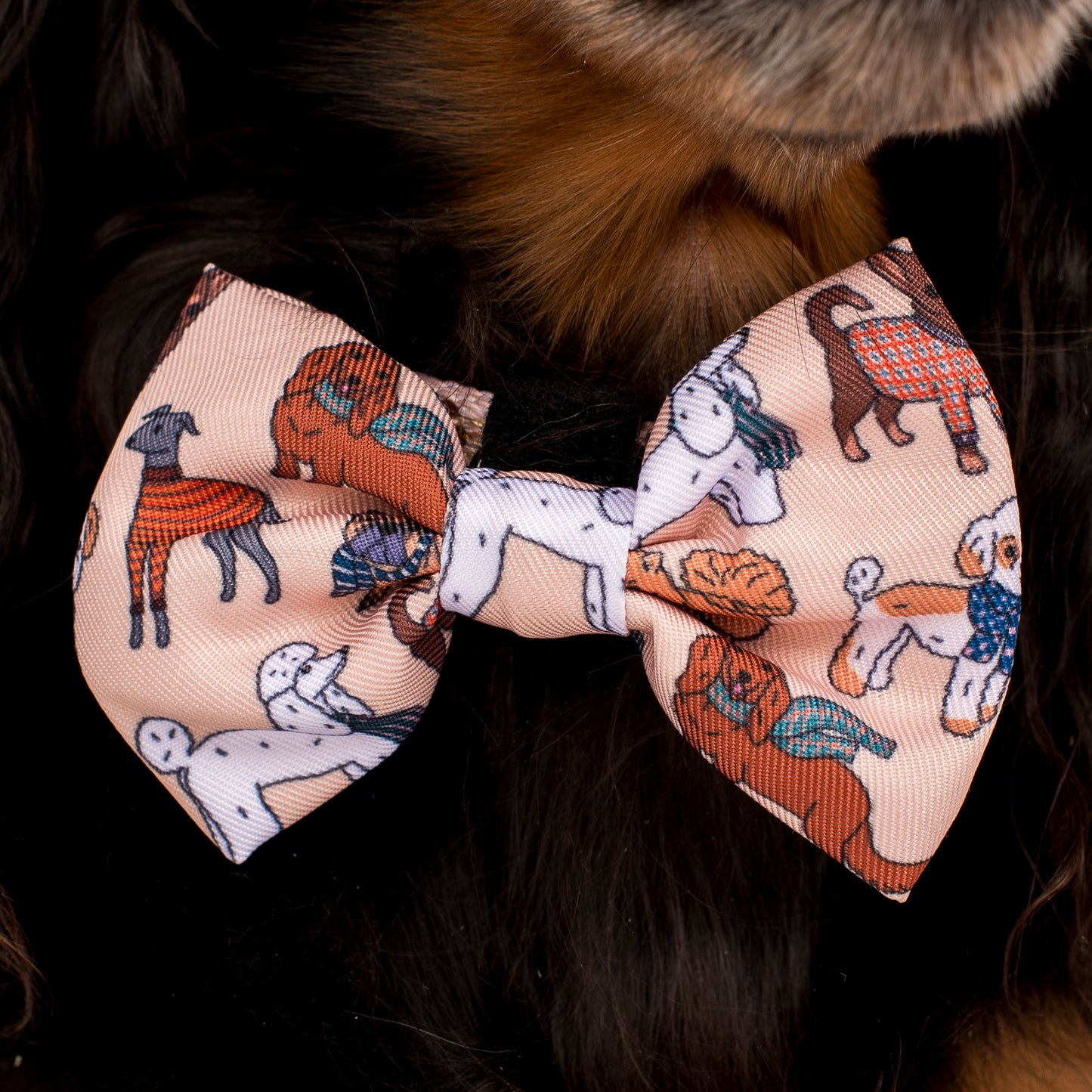 Winter Pooches: Bow Tie