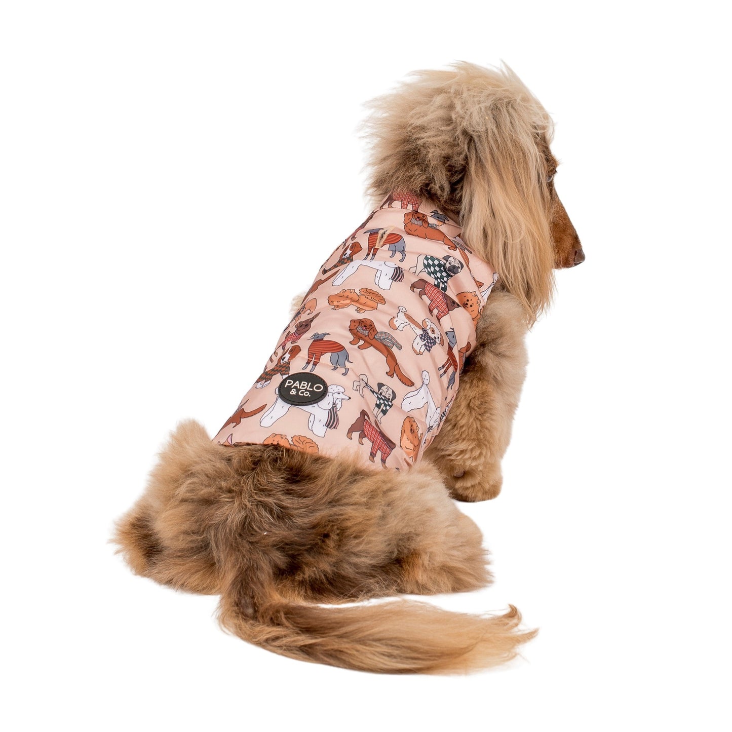 Winter Pooches / Kensington: Reversible Puffer Vest