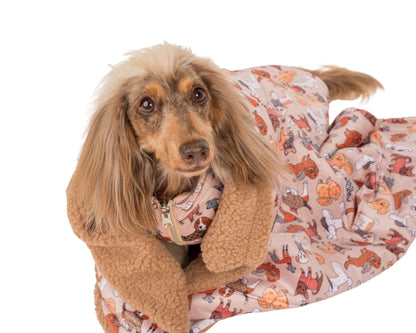 Winter Pooches: Dog Blanket