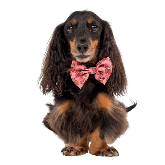 Teddies: Bow Tie