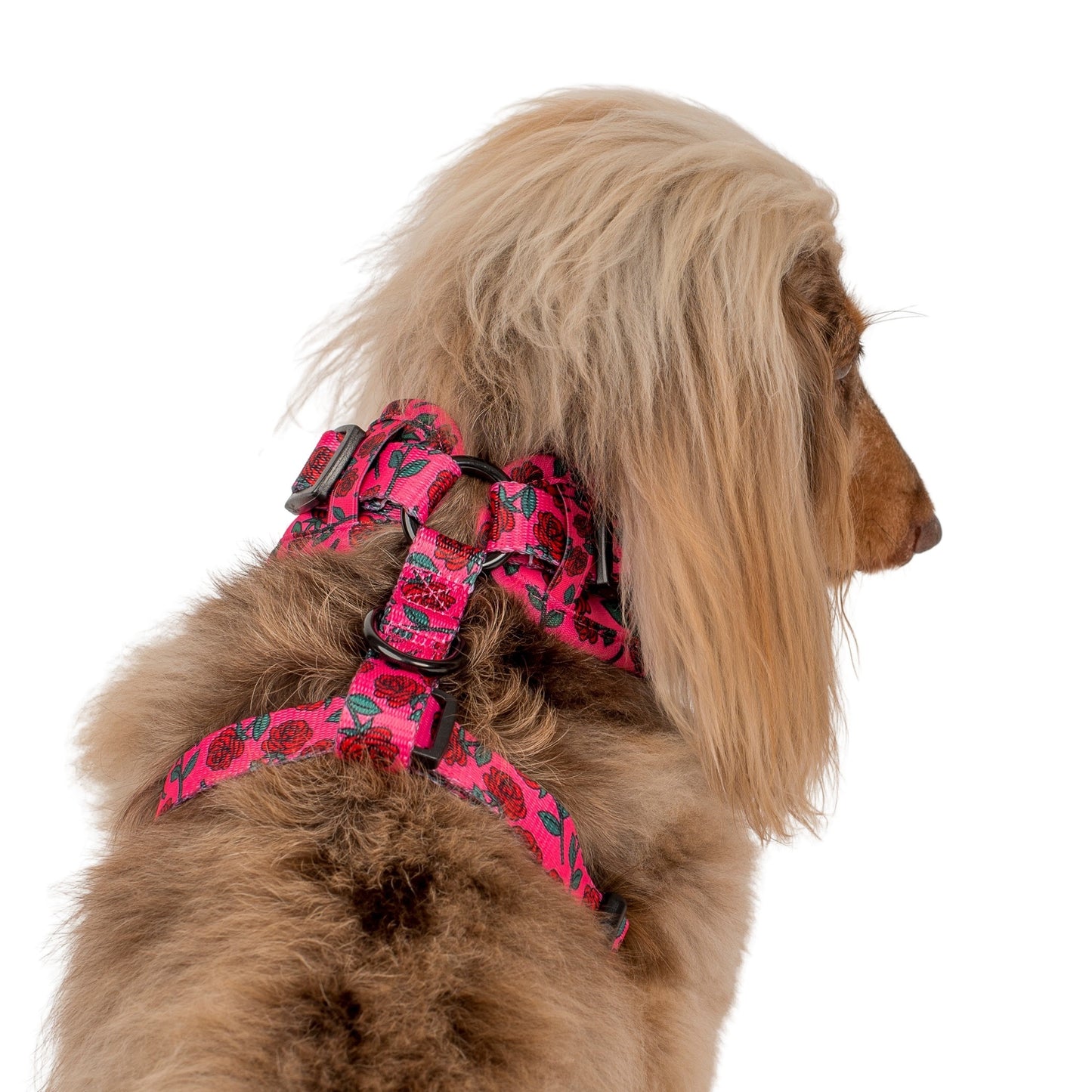 Rosie: Adjustable Harness