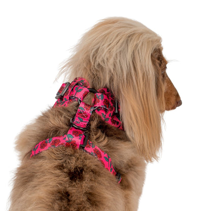 Rosie: Adjustable Harness