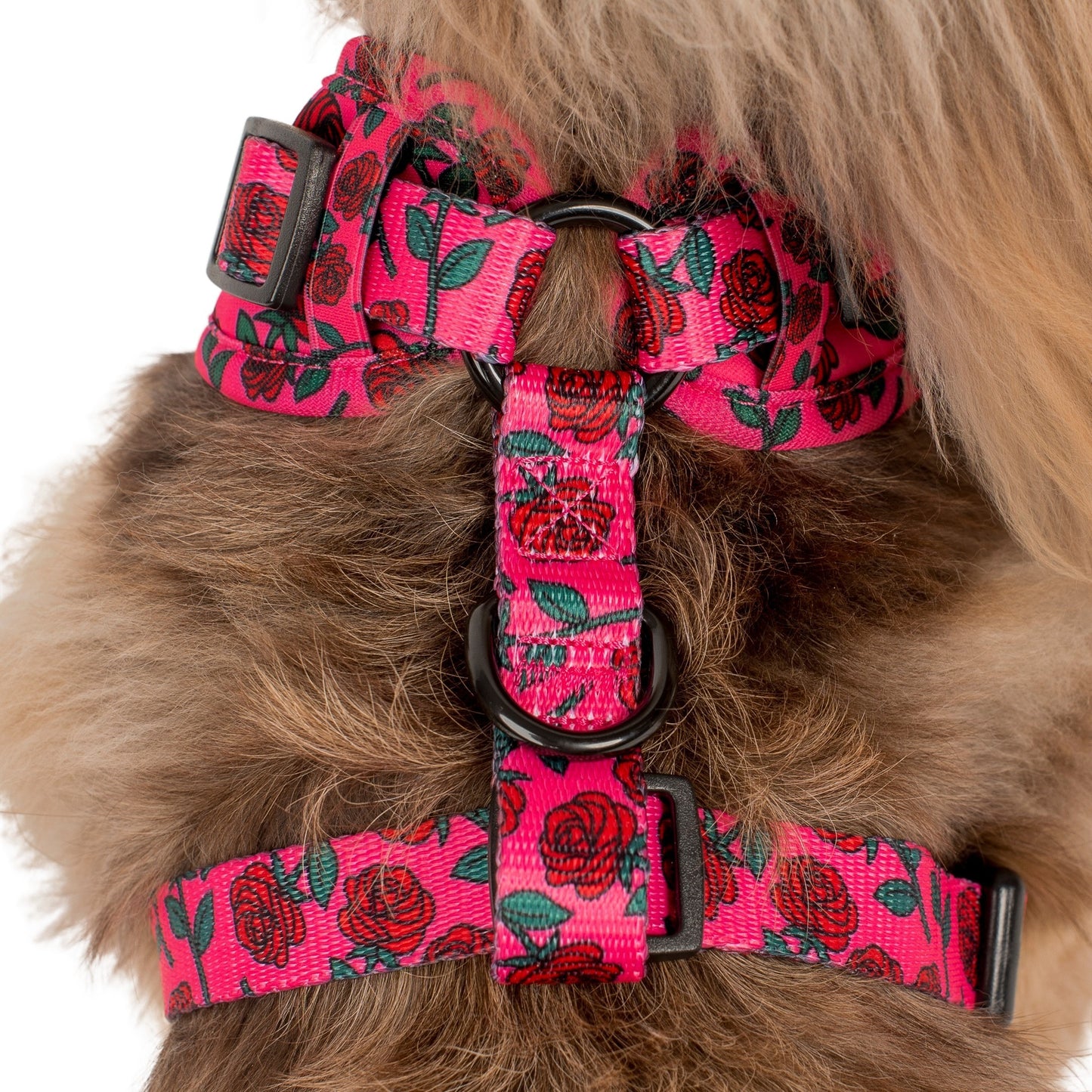 Rosie: Adjustable Harness