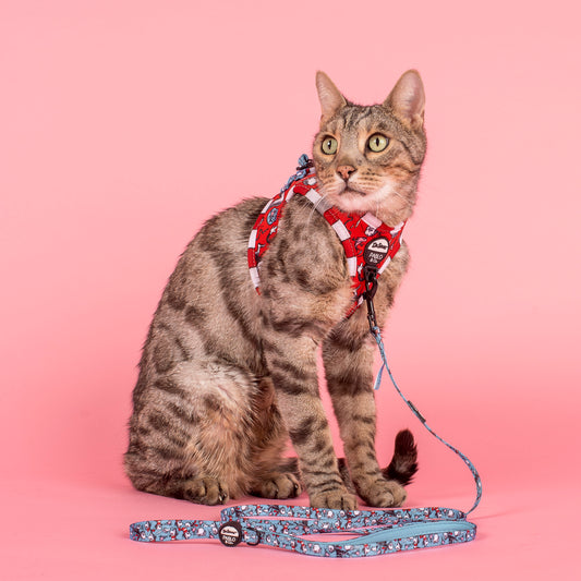 Dr. Seuss' The Cat in the Hat: Step In Cat Harness