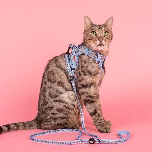 Meow Blue: Step In Cat Harness