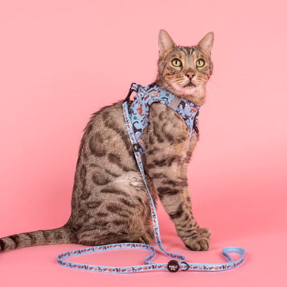 Meow Blue: Cat Leash