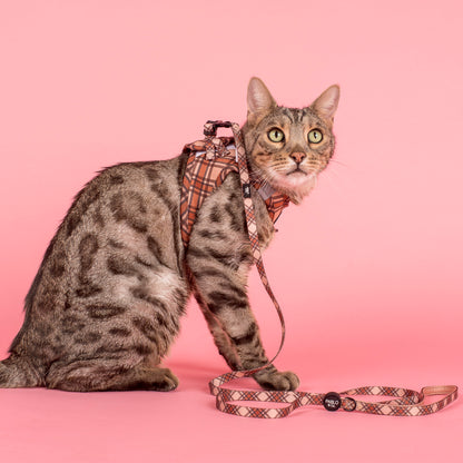 Kensington: Step In Cat Harness