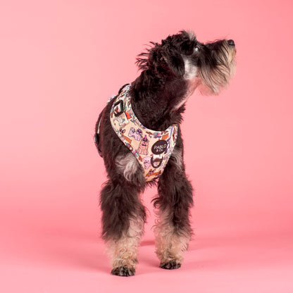 Party Dawgs: Adjustable Harness