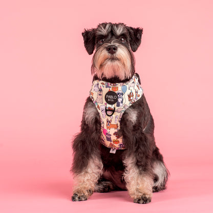 Party Dawgs: Adjustable Harness