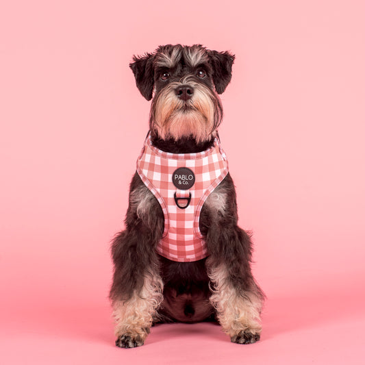 Chocolate Gingham: Adjustable Harness