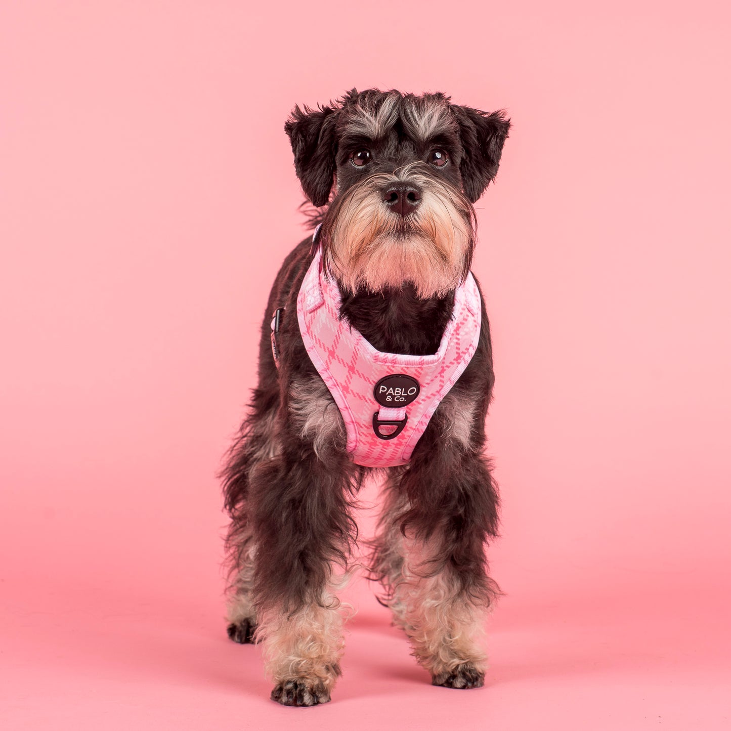 Pink Houndstooth: Adjustable Harness