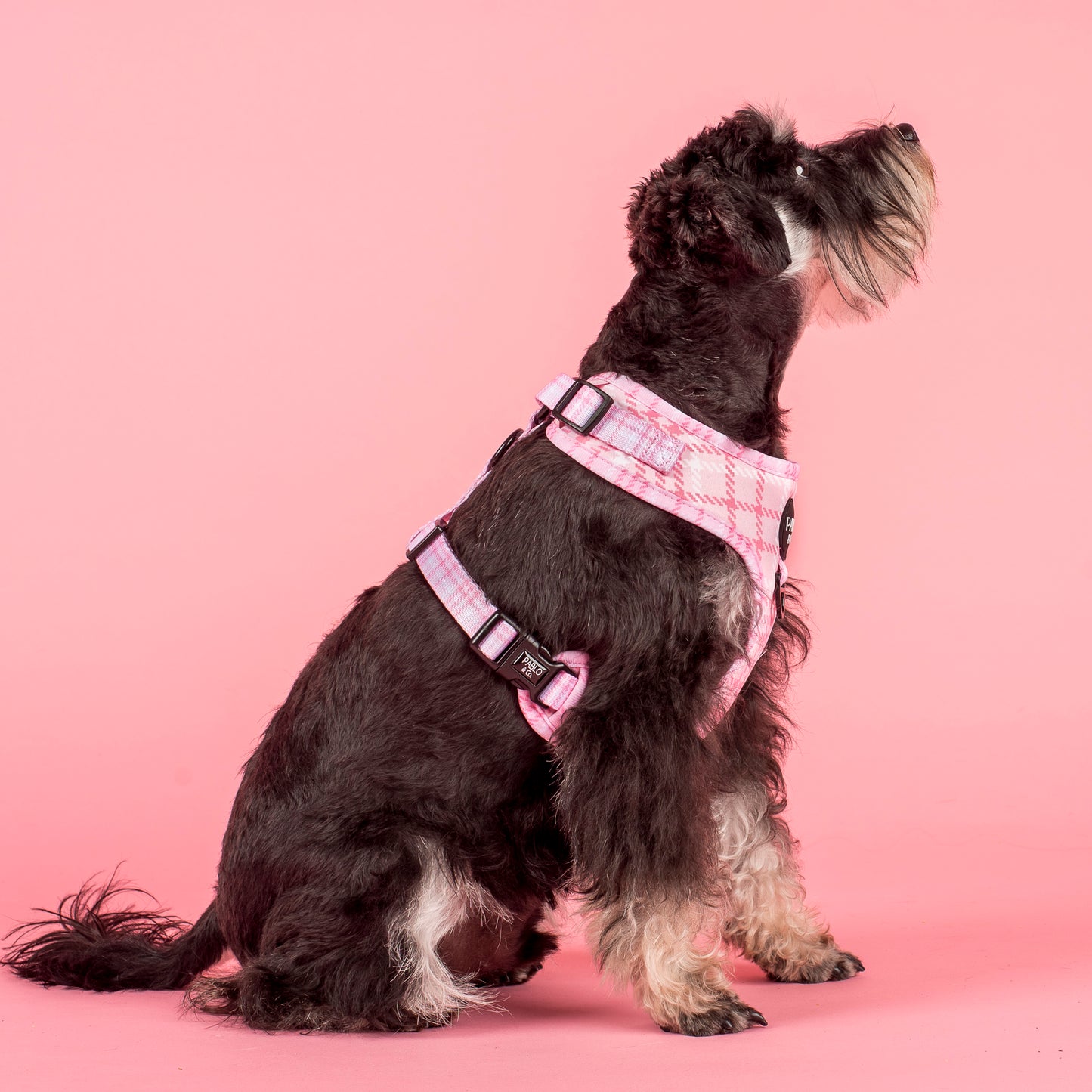 Pink Houndstooth: Adjustable Harness