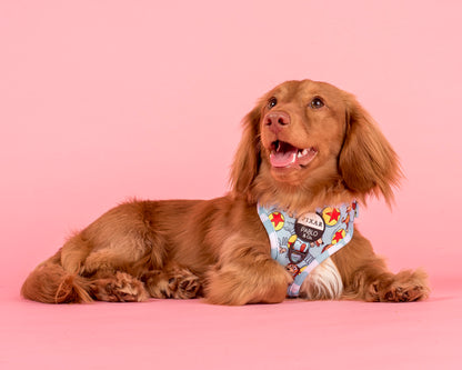 Toy Story - Slinky Dog: Adjustable Harness