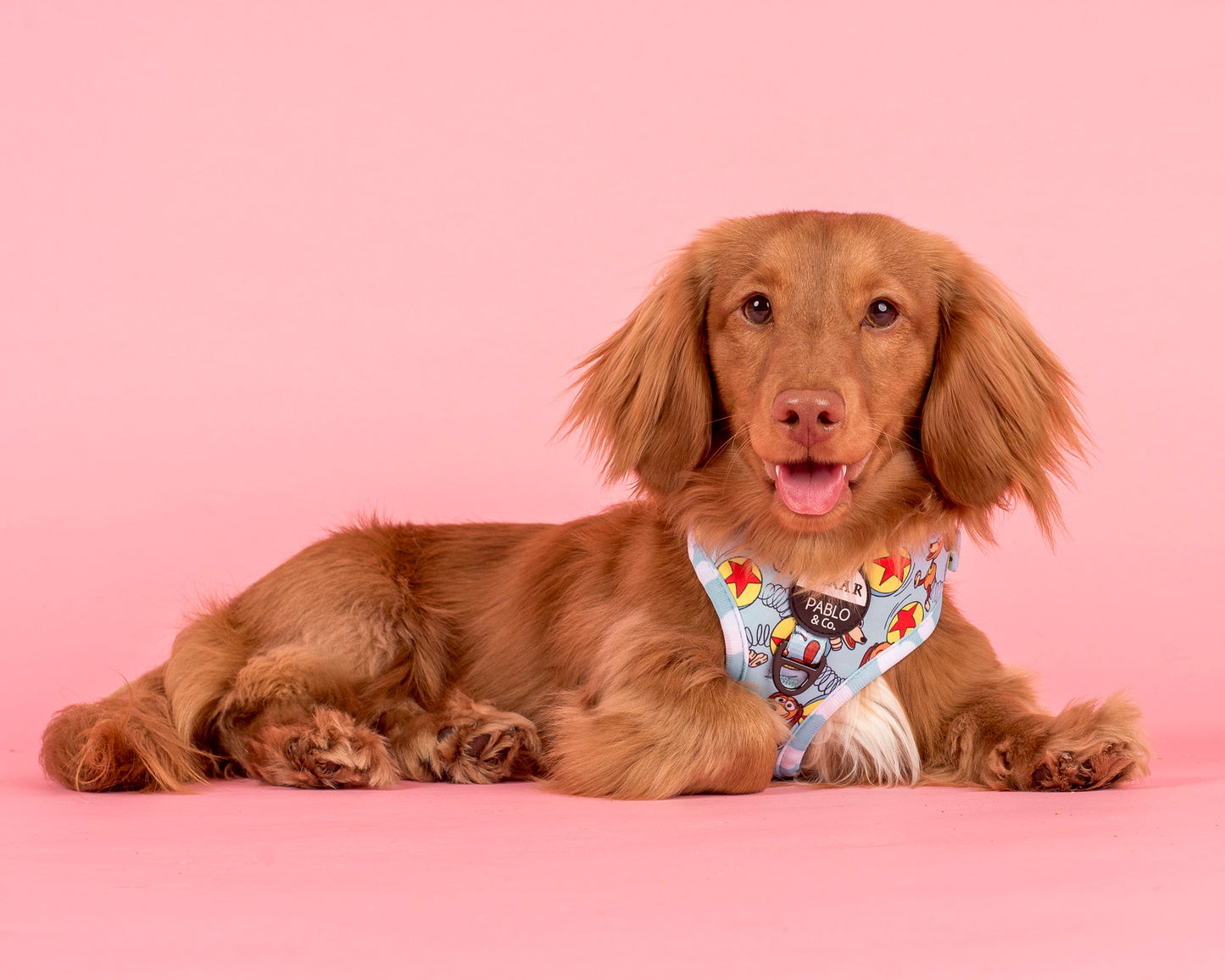 Toy Story - Slinky Dog: Adjustable Harness