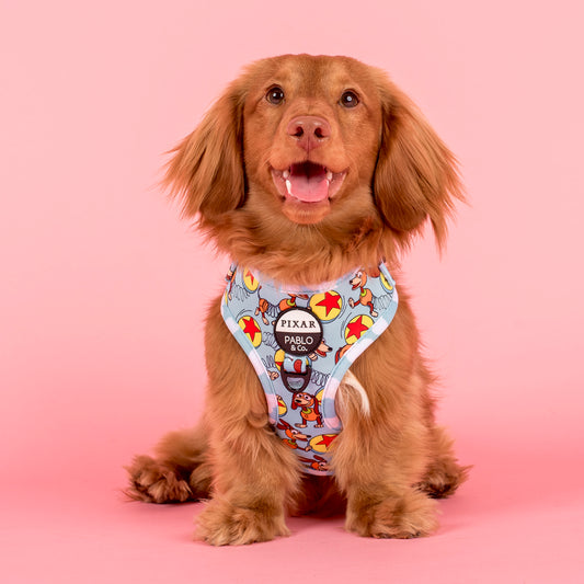 Toy Story - Slinky Dog: Adjustable Harness