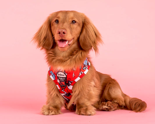 Dr. Seuss' The Cat in the Hat: Adjustable Harness