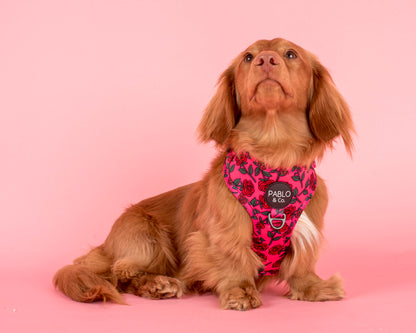 Rosie: Adjustable Harness