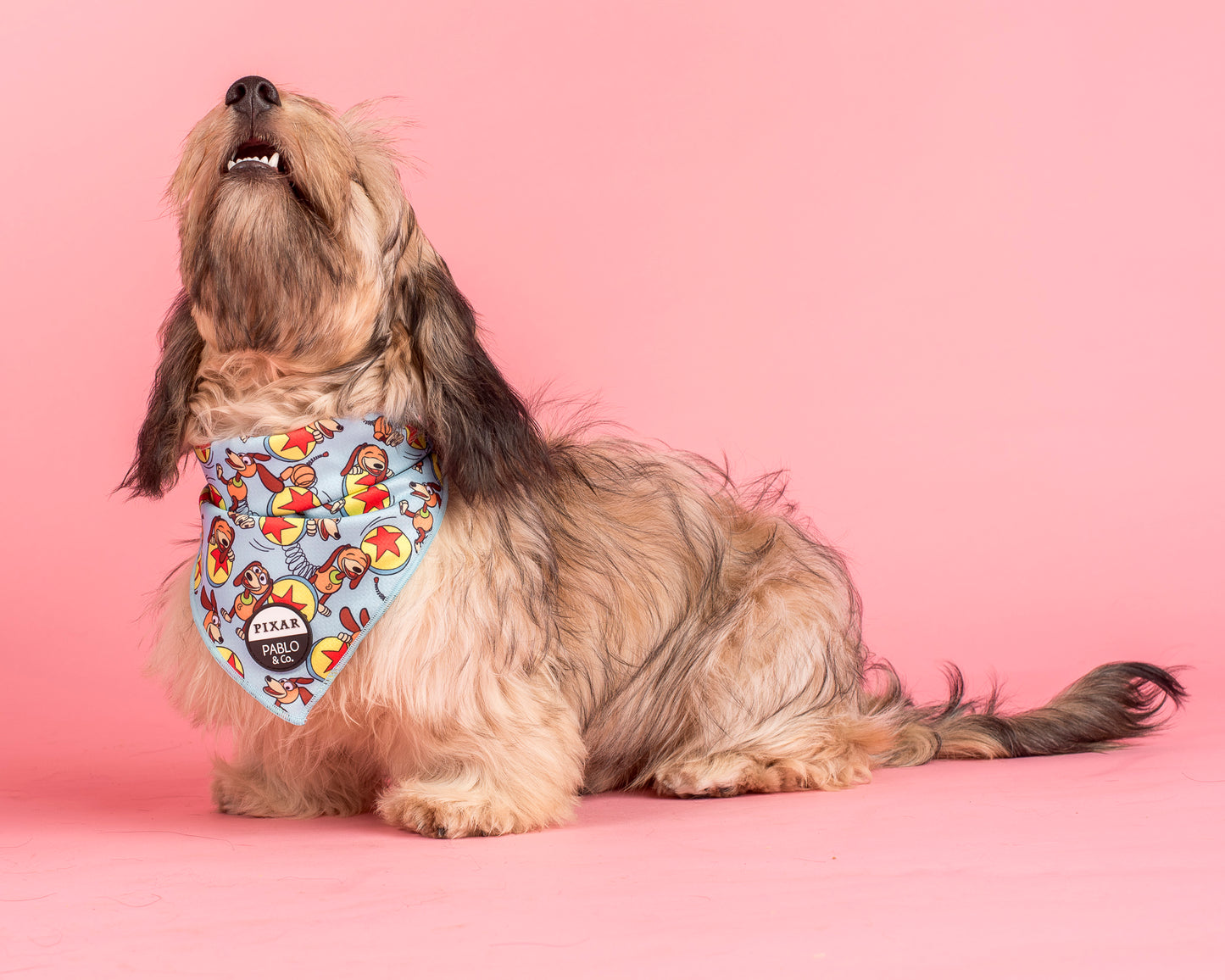 Toy Story - Slinky Dog: Dog Bandana