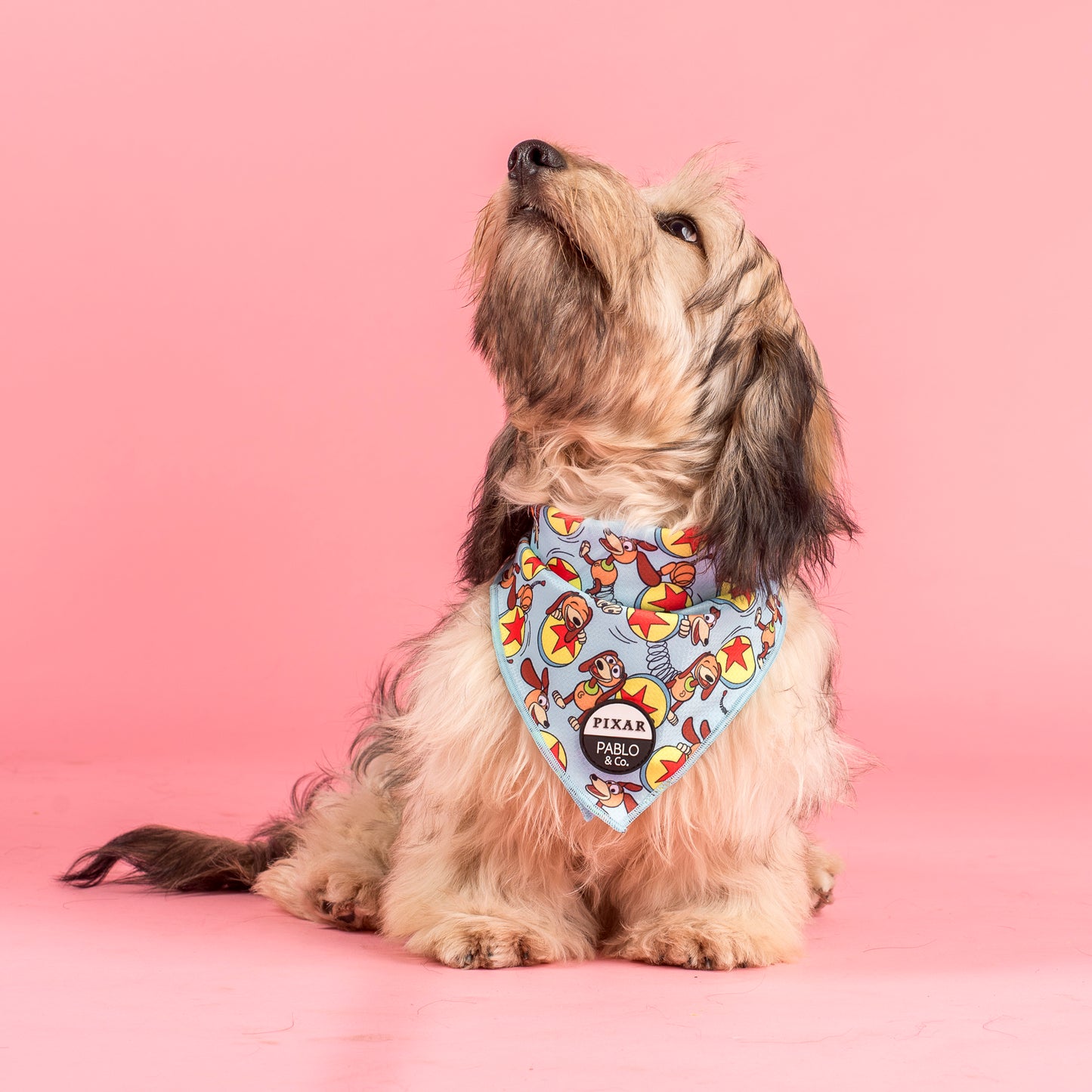 Toy Story - Slinky Dog: Dog Bandana