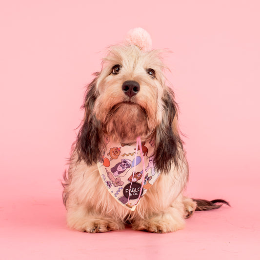 Party Dawgs: Dog Bandana