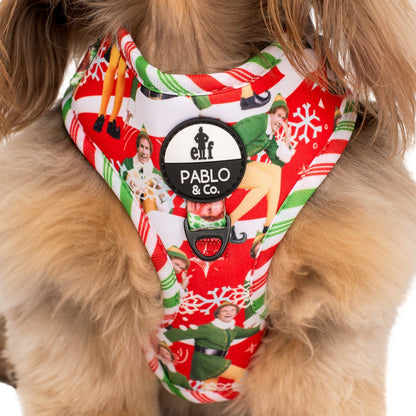 ELF - OMG! SANTA!: Adjustable Harness