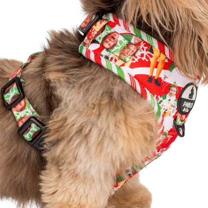 ELF - OMG! SANTA!: Adjustable Harness