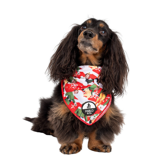 ELF - OMG! SANTA!: Dog Bandana