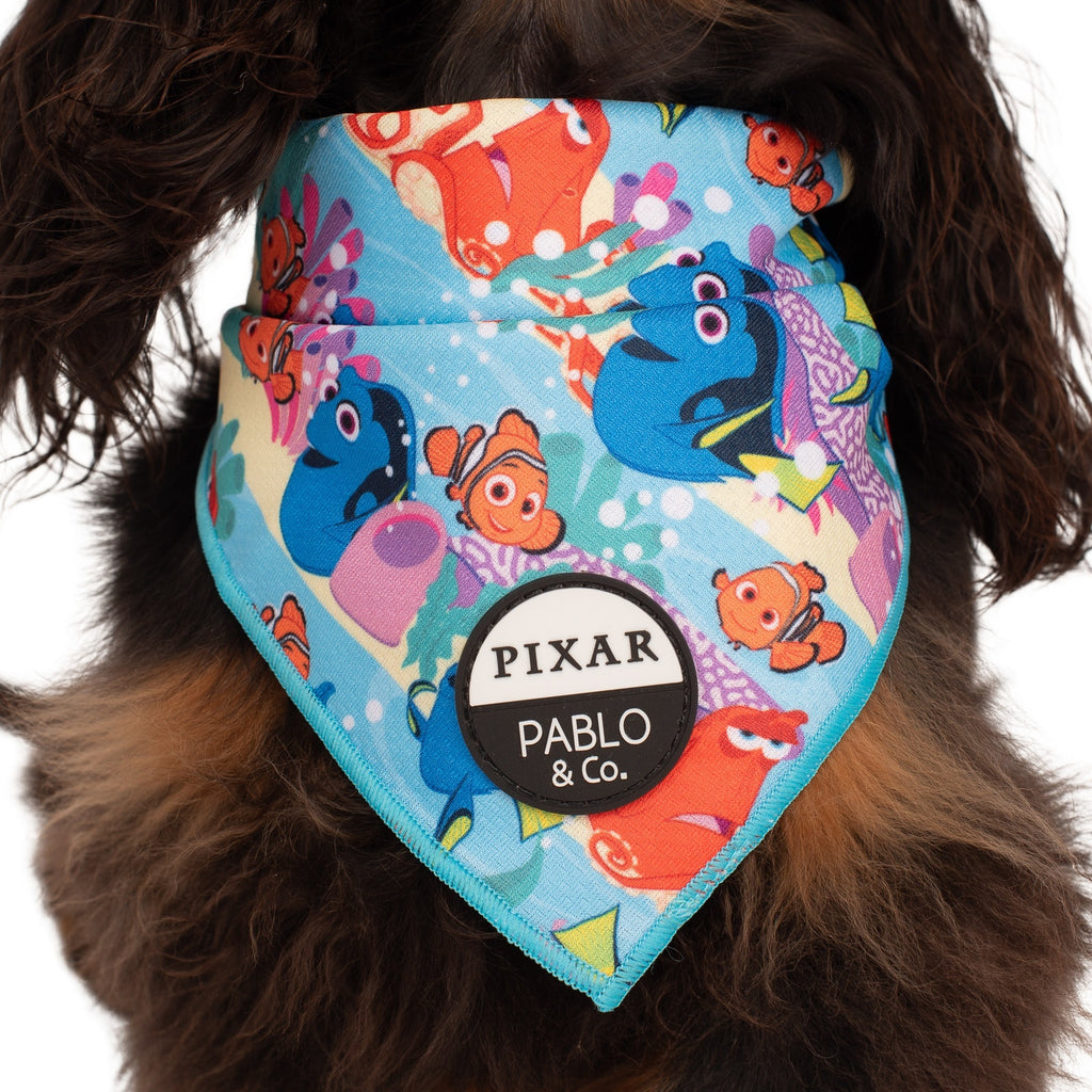 Finding Nemo: Dog Bandana – Pablo & Co. Boutique