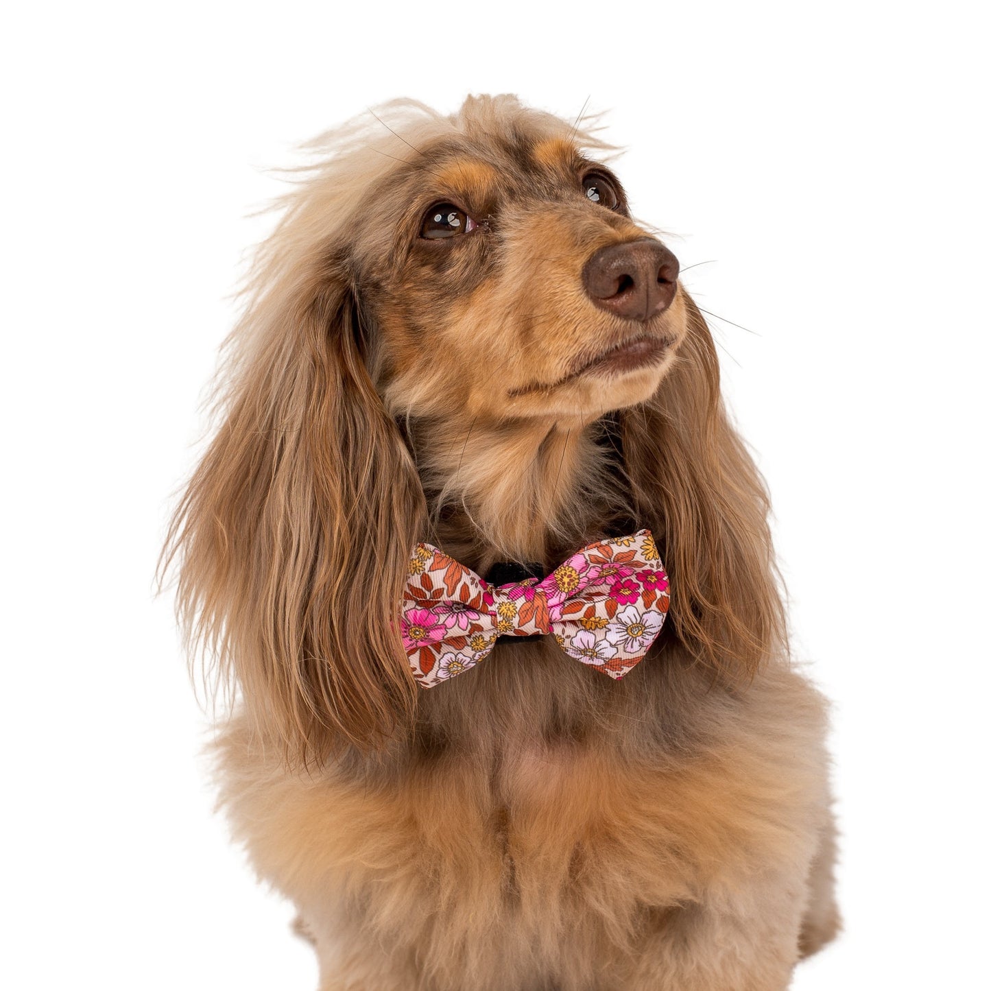 Pink Posies: Bow Tie