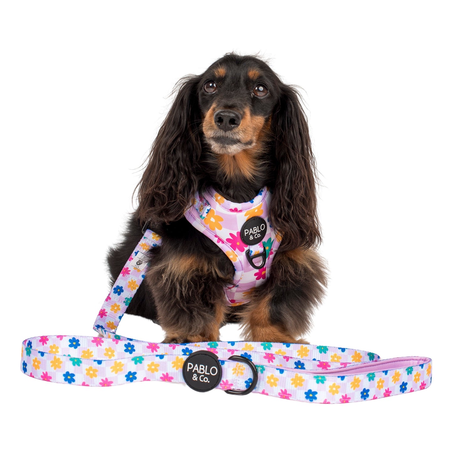 Delightful Daisies: Dog Leash