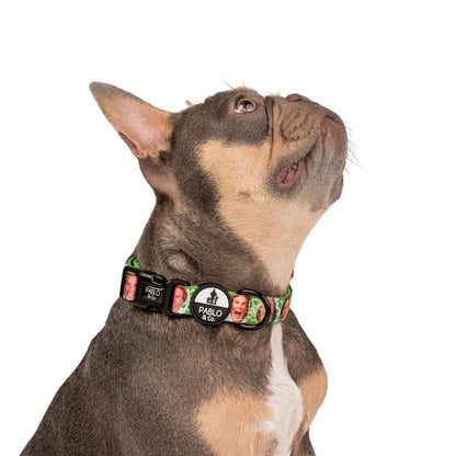 ELF - OMG! SANTA!: Dog Collar