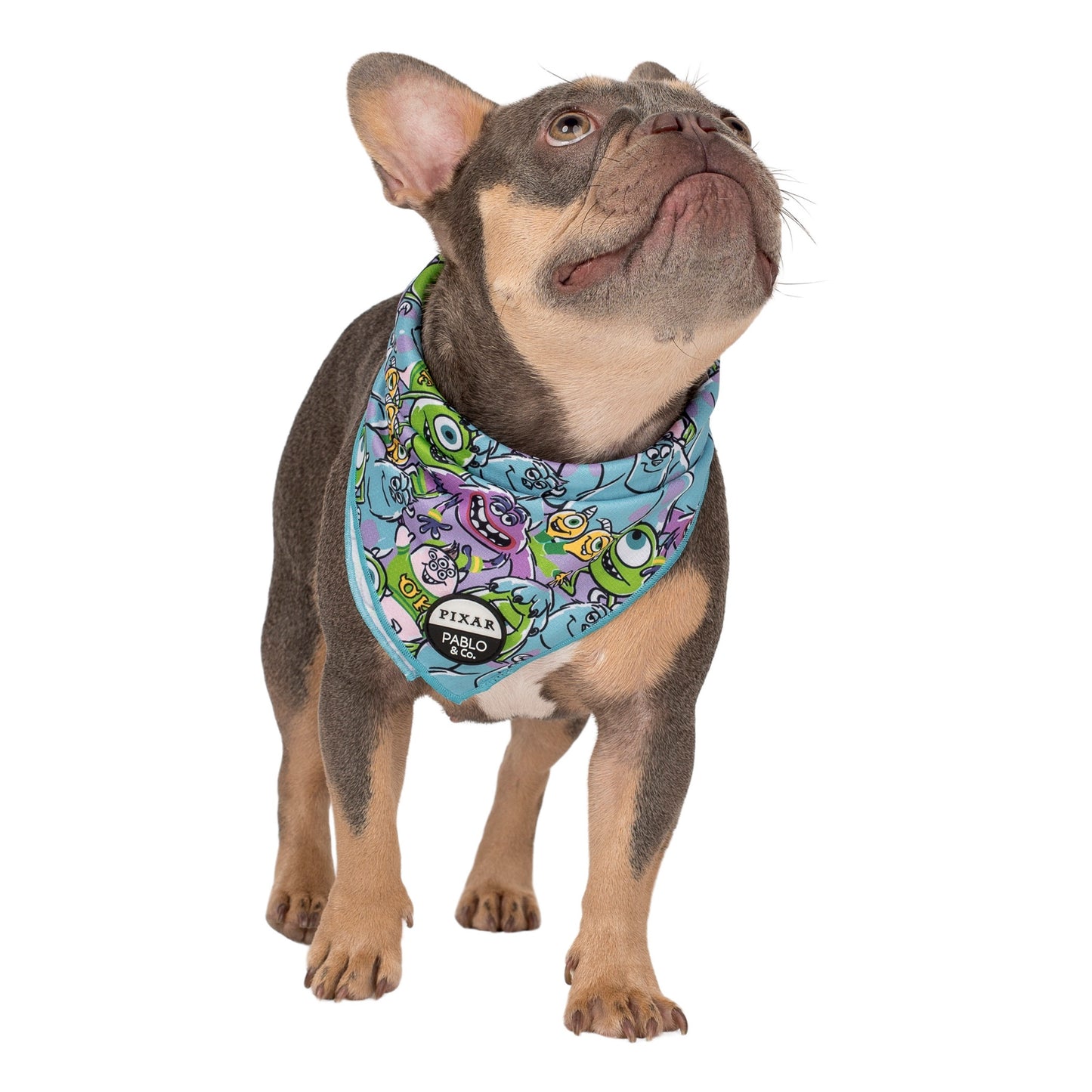 Monsters, Inc.: Dog Bandana