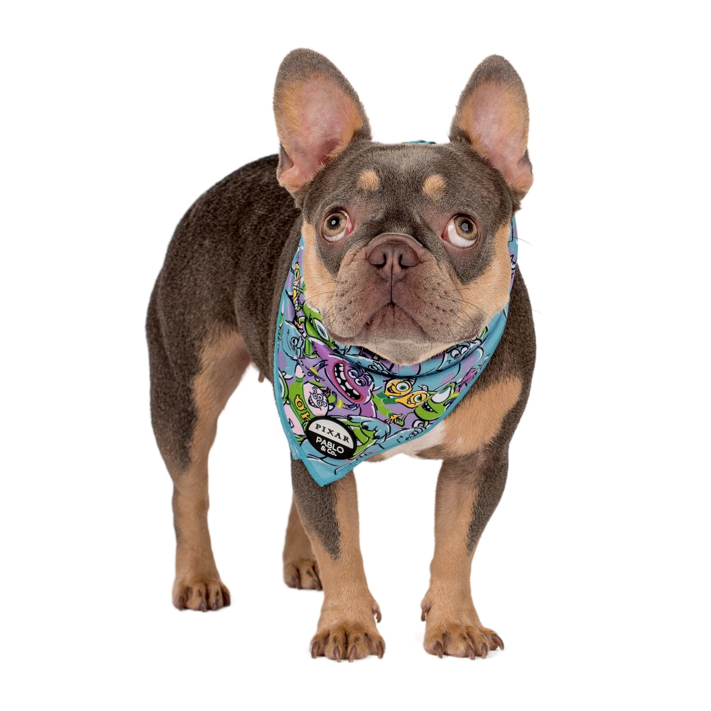 Monsters, Inc.: Dog Bandana