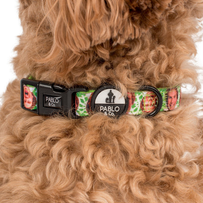 ELF - OMG! SANTA!: Dog Collar