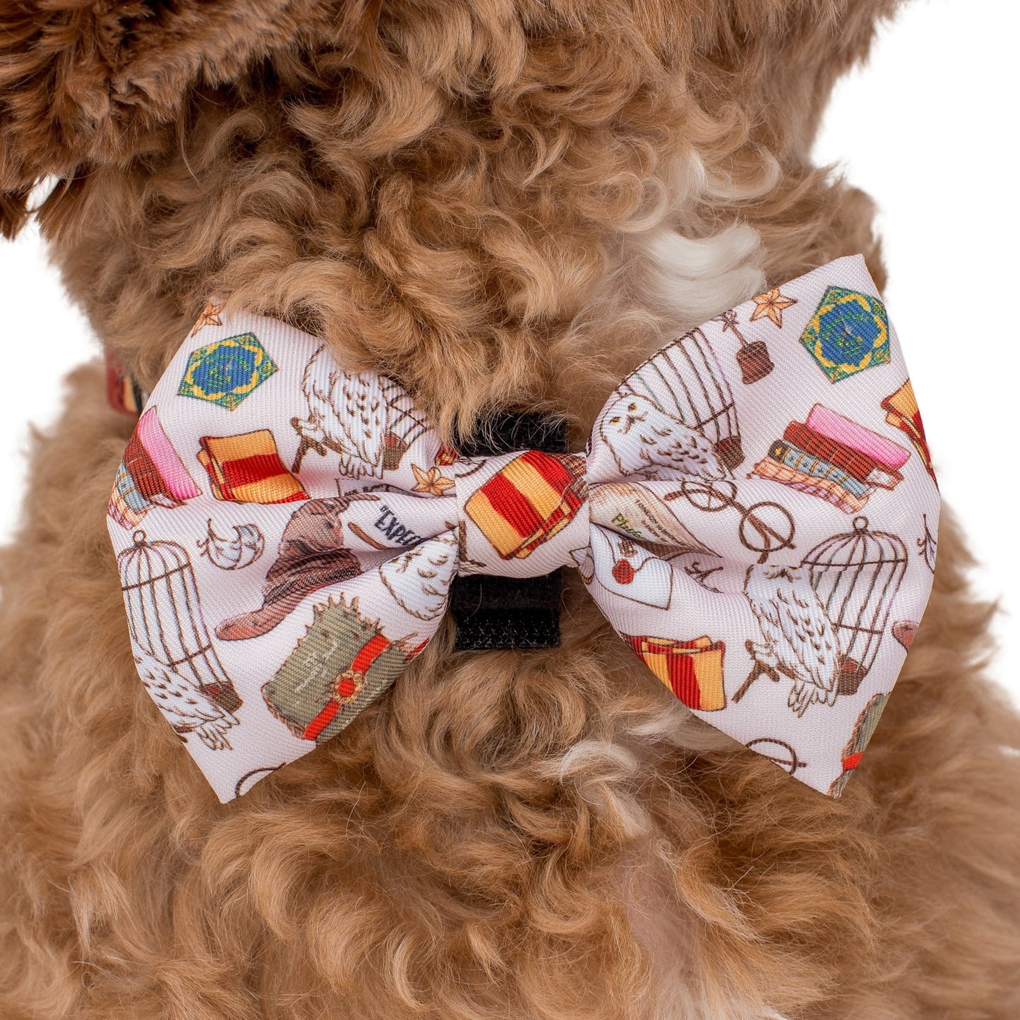 Harry Potter: Bow Tie