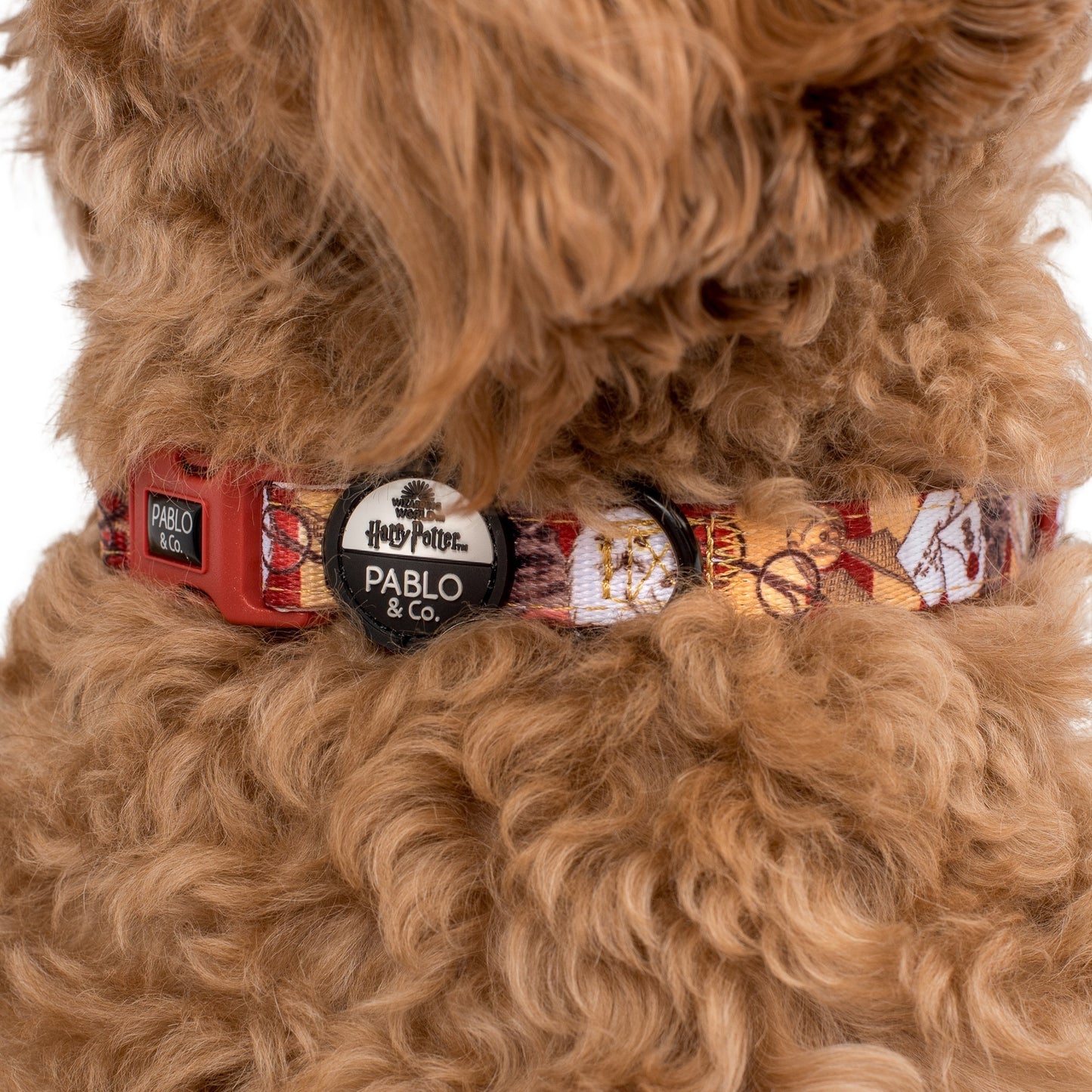 Harry Potter: Dog Collar