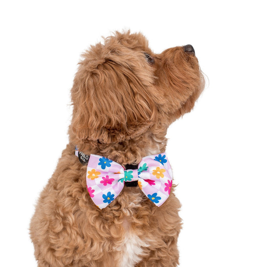 Delightful Daisies: Bow Tie