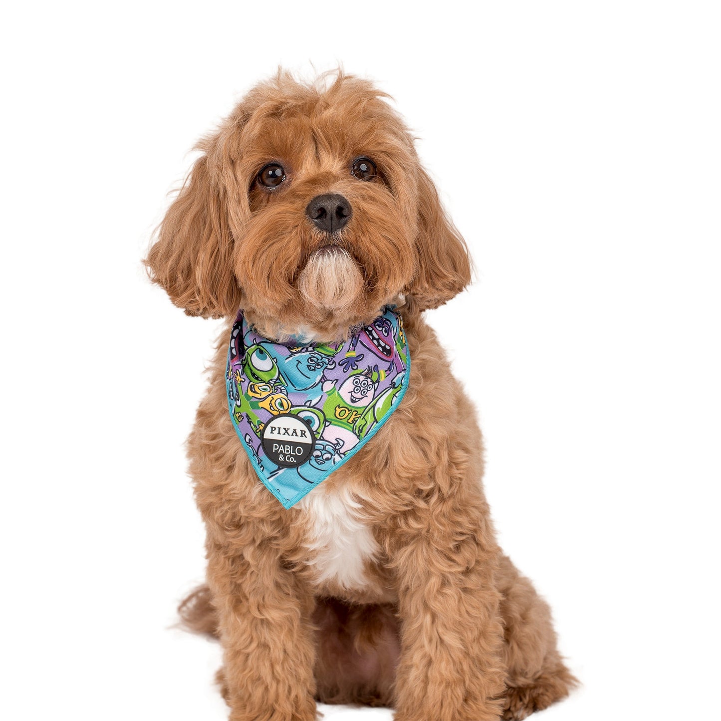 Monsters, Inc.: Dog Bandana