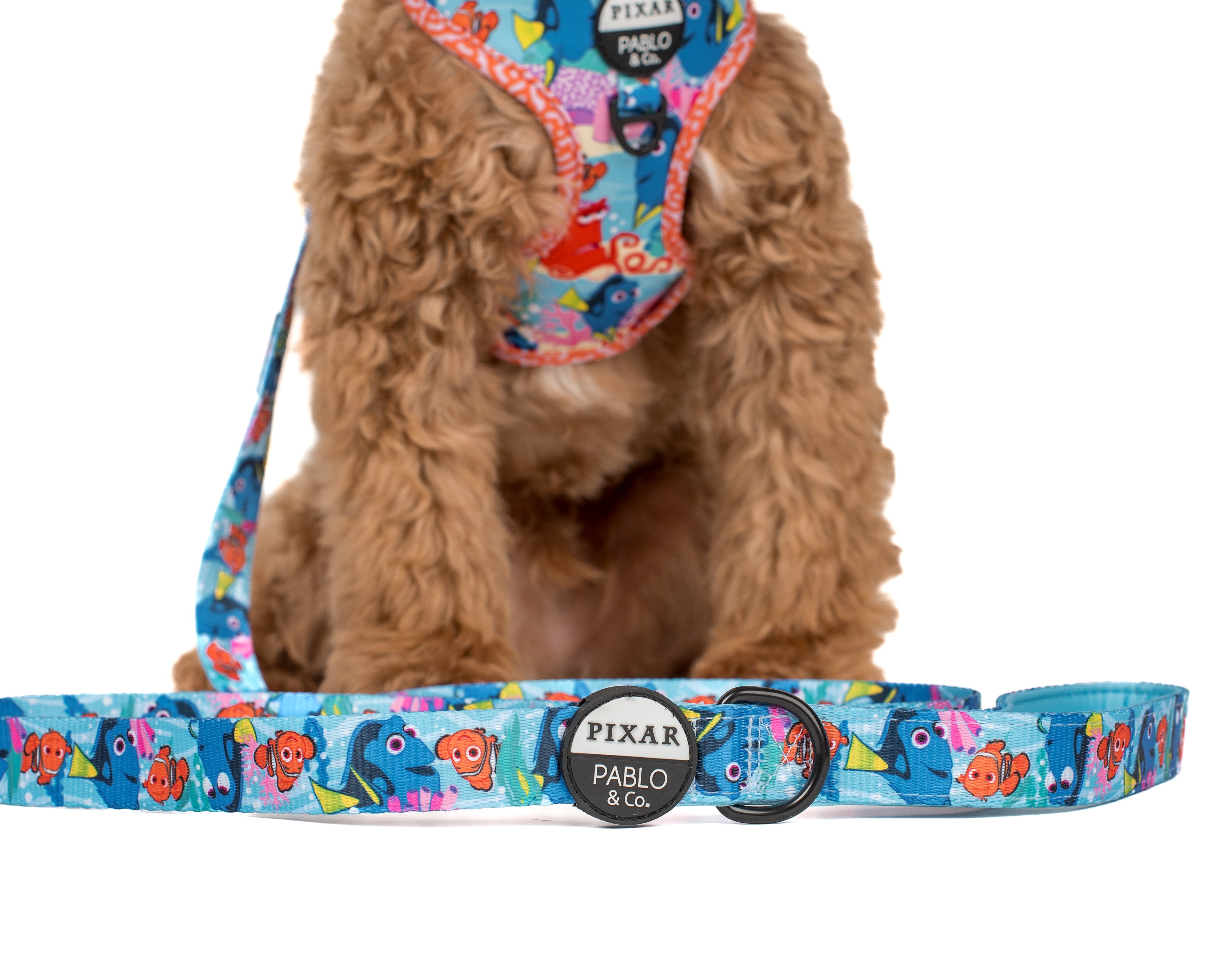 Finding Nemo: Dog Leash – Pablo & Co. Boutique