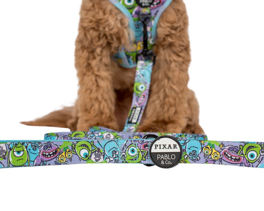 Monsters, Inc.: Dog Leash