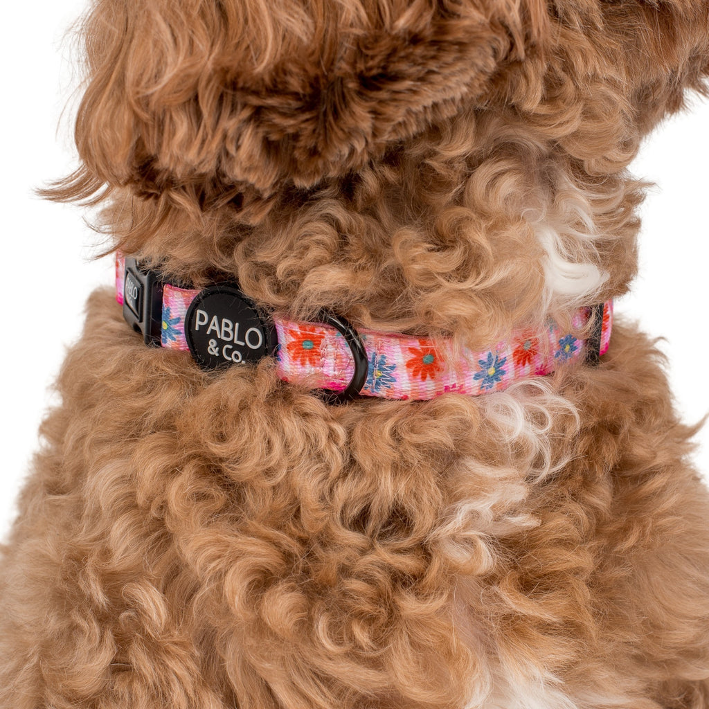 Blossom Collar Pablo & Co. Boutique