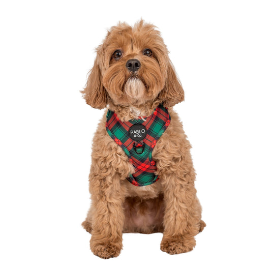 Winston Plaid: Adjustable Harness