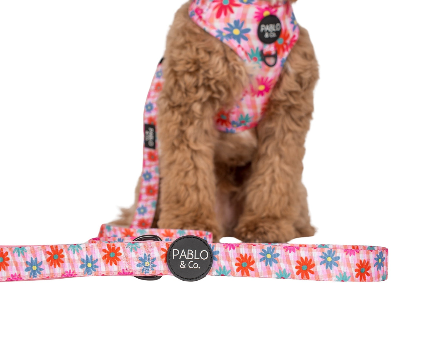 Blossom: Dog Leash