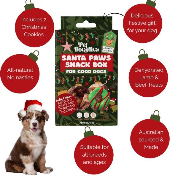 Pet Botanica Santa Paws Snack Box