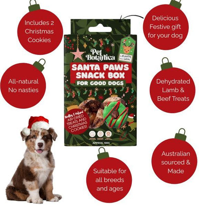 Pet Botanica Santa Paws Snack Box