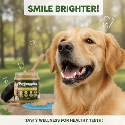 Pet Botanica: Dental Balance Spread